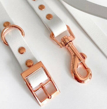 White waterproof collar and lead set - close up