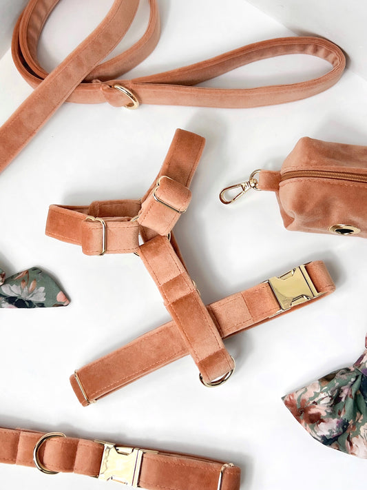 Peach and gold velvet dog harness - close up