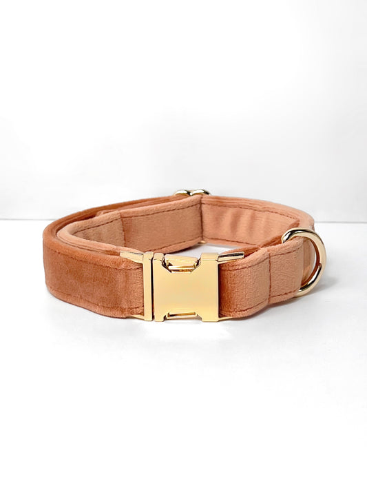 Peach velvet dog collar