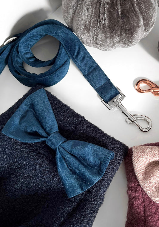 Navy teddy borg dog jumper with navy velvet accessories