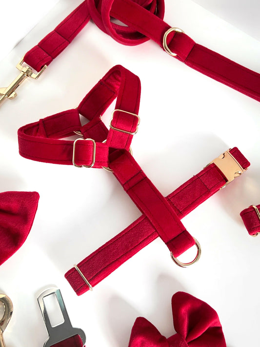 Soft red velvet and gold dog harness