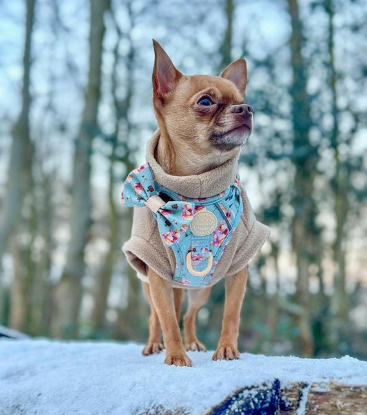 Chihuahua wearing beige fleece