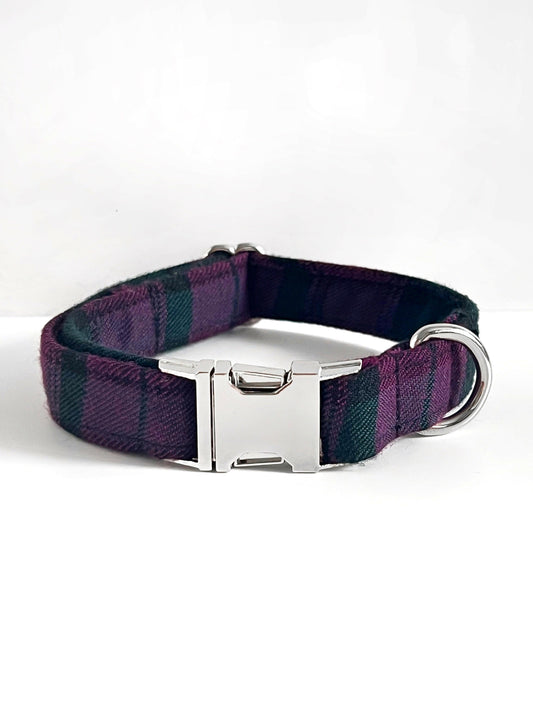 Purple tartan and silver dog collar