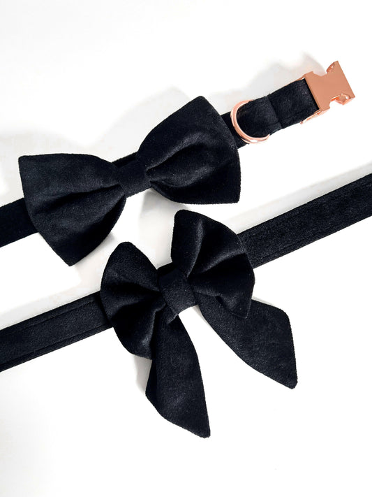 Bowtie and sailor bow