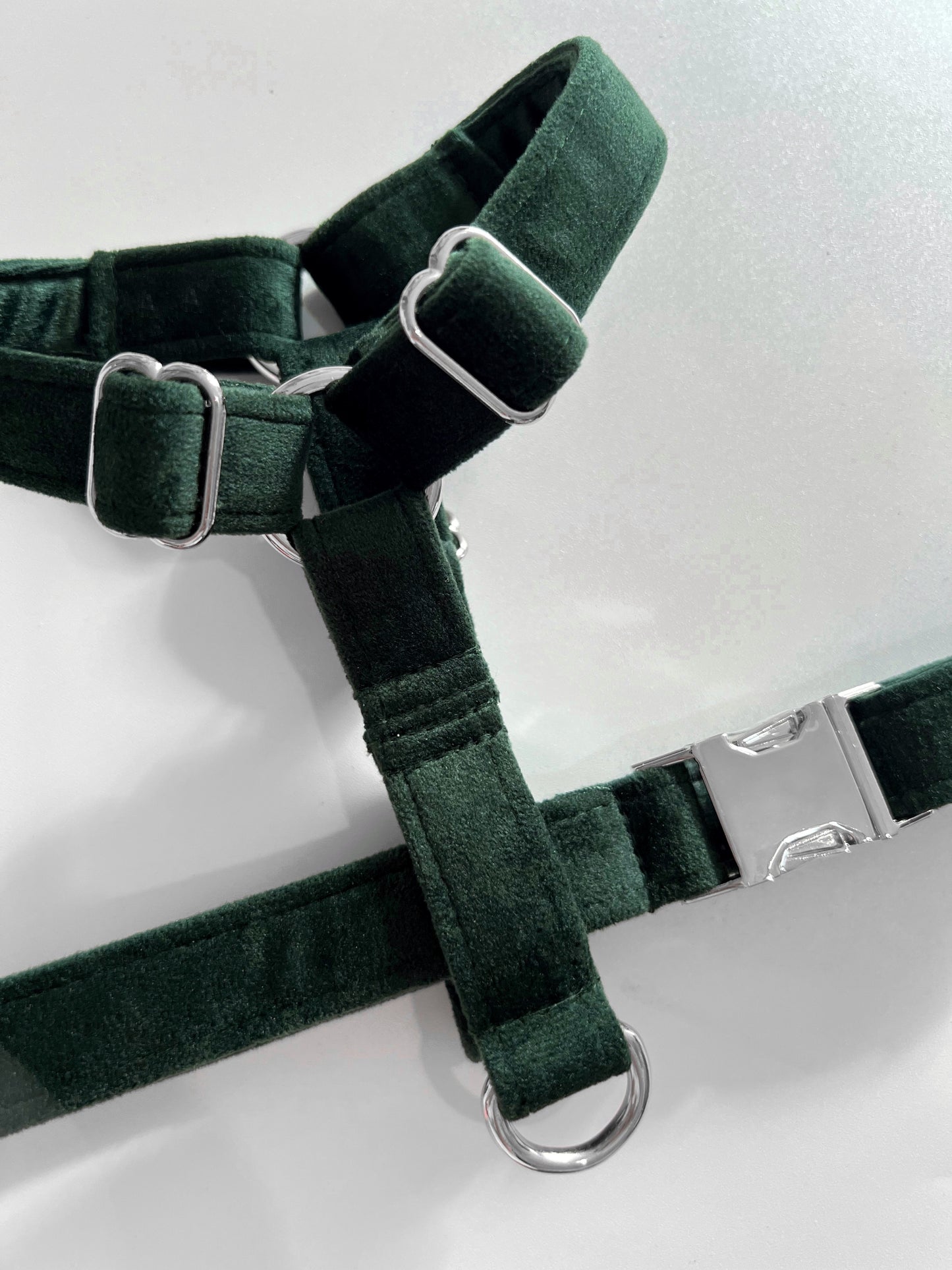 Emerald green velvet harness with silver buckles