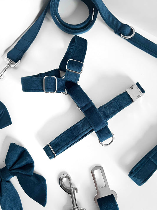 Sapphire navy and silver velvet dog harness