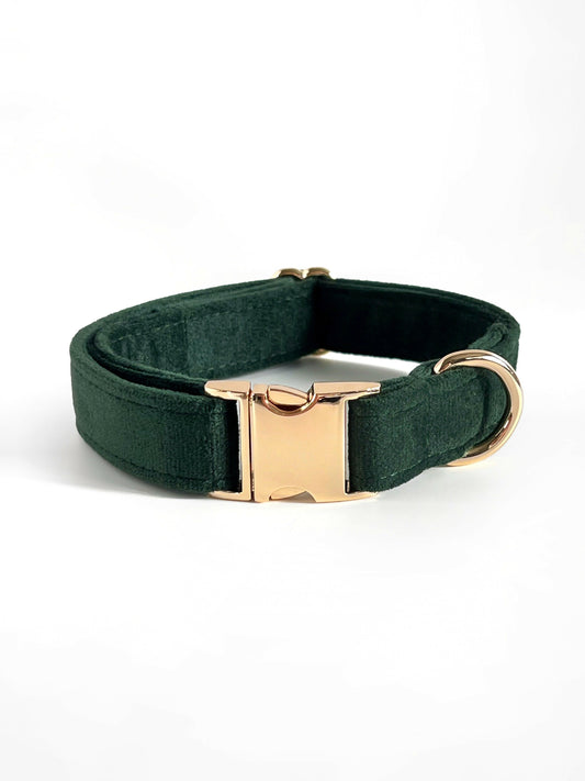 Emerald green and gold velvet dog collar