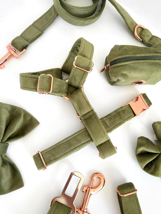 Green velvet and rose gold dog harness - close up