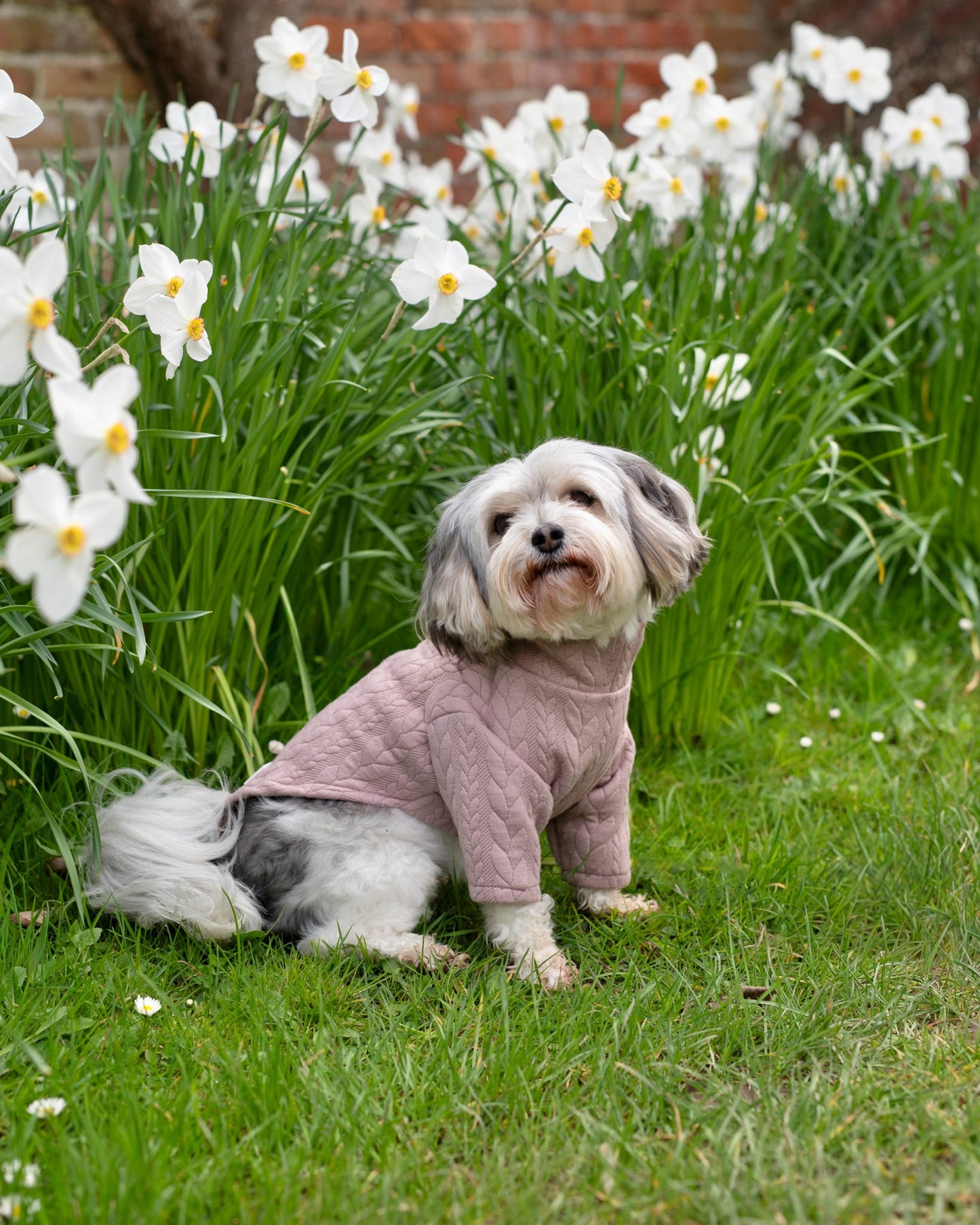 Custom Made | Cable Knit Jersey | Two Legged - Light Pink