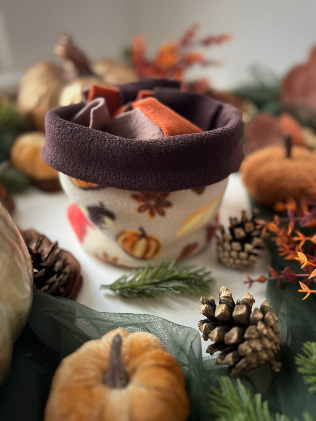 Ready To Ship | Snuffle Bowl - Autumn Pumpkin Print