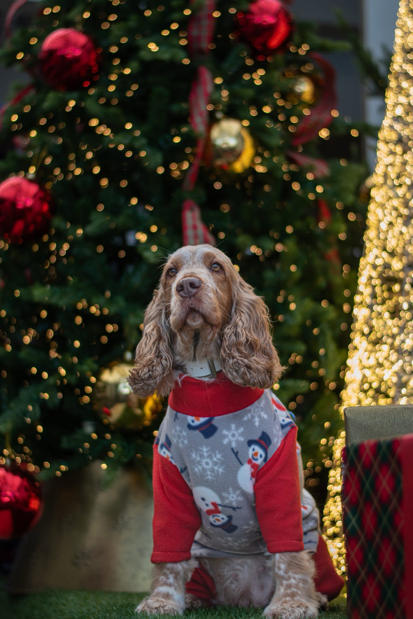 Custom Made | Polar Fleece | Four Legged - Jolly Snowman