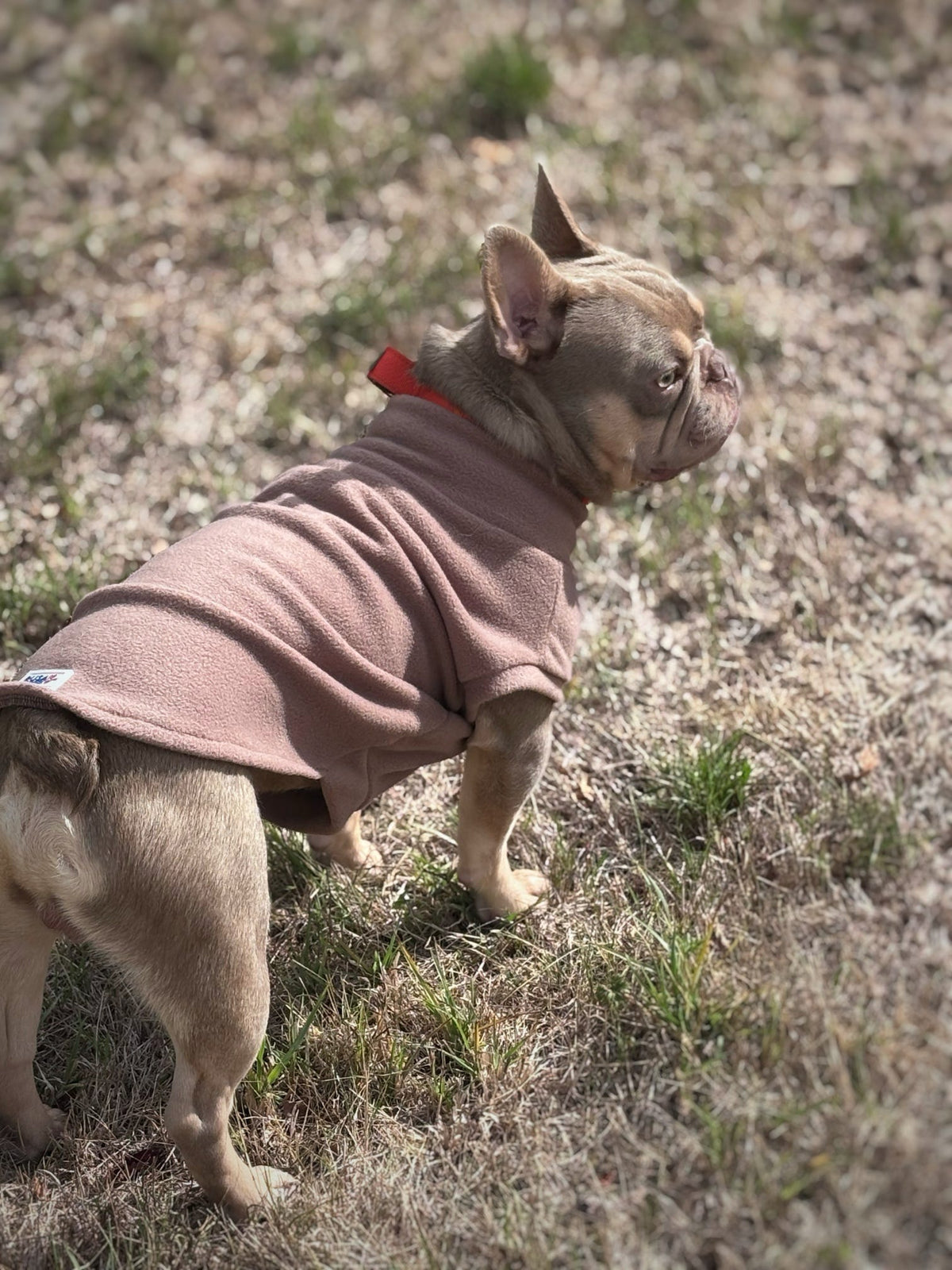 Ready To Ship | Polar Fleece | Tankie - Mocha