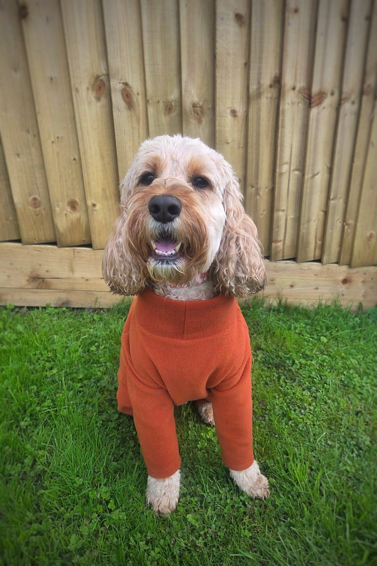 Ready To Ship | Polar Fleece | Four Legged - Rust