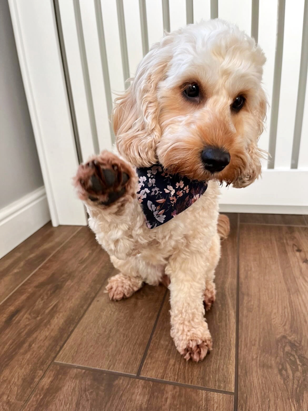 Bandana - Navy Autumn Blooms