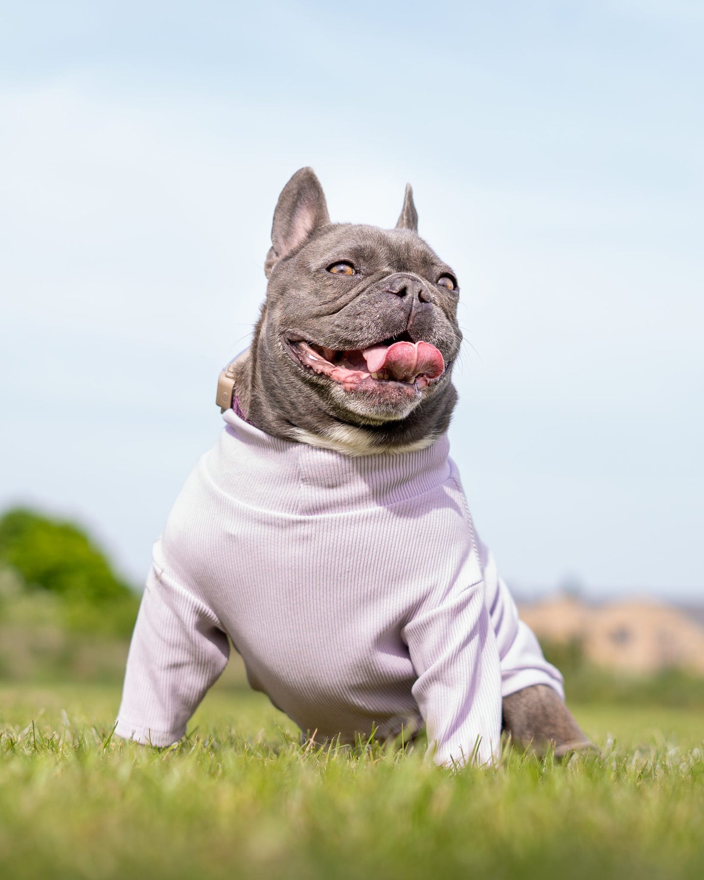 Custom Made | Jersey Rib | Two Legged - Lavender