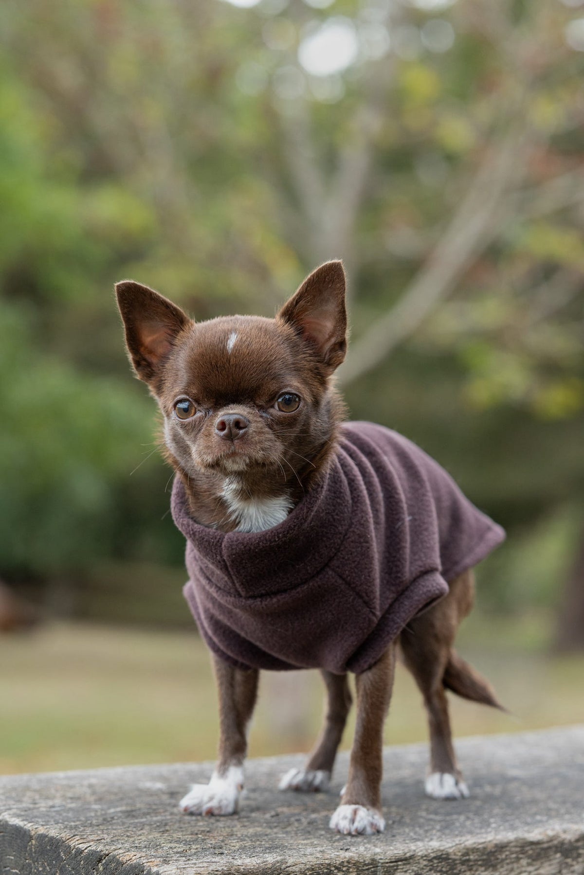 Ready To Ship | Polar Fleece | Tankie - Chocolate