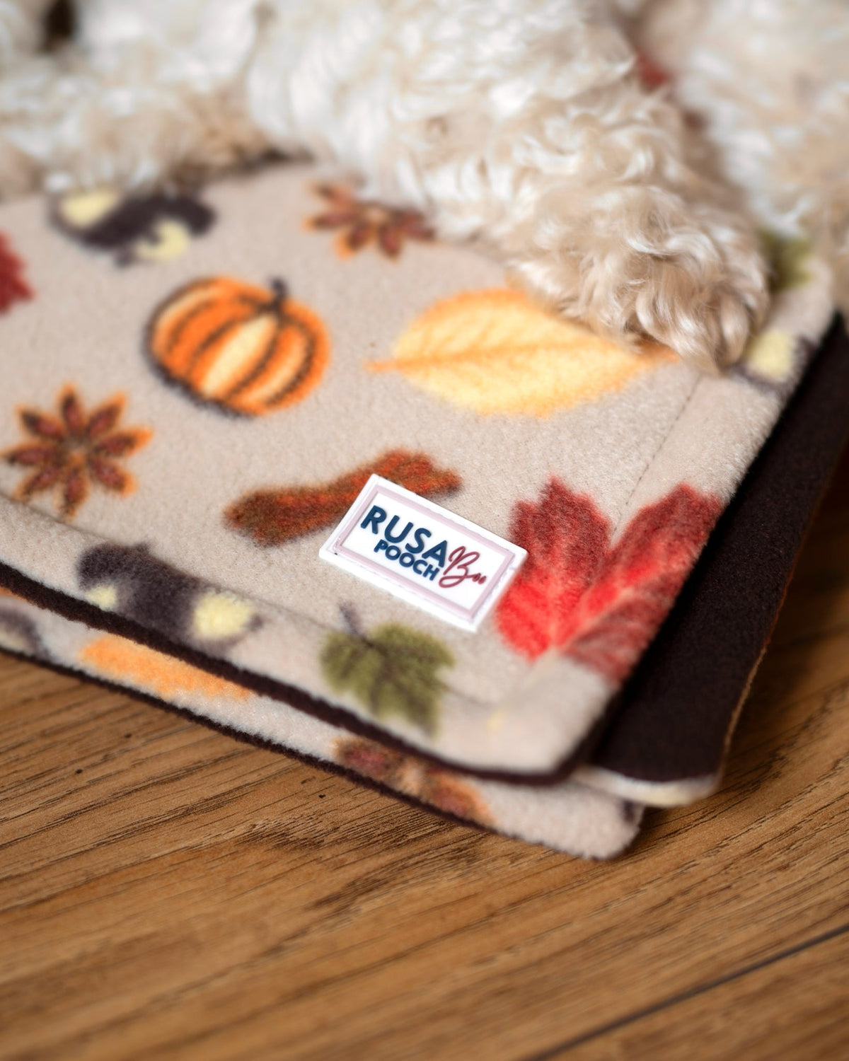 Ready To Ship | Blanket | Polar Fleece - Autumn Pumpkin Print