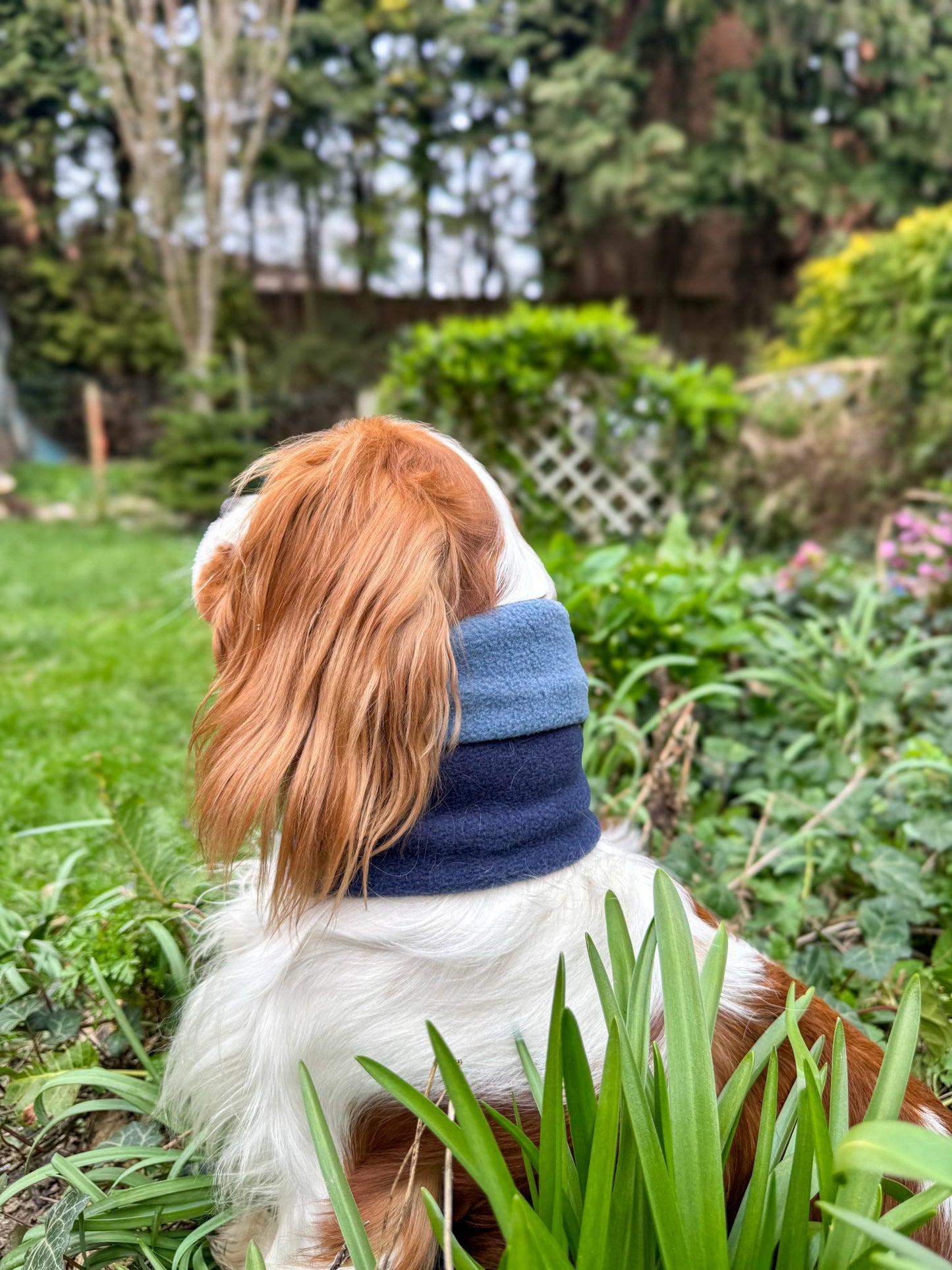 Ready To Ship | Snood - Blue