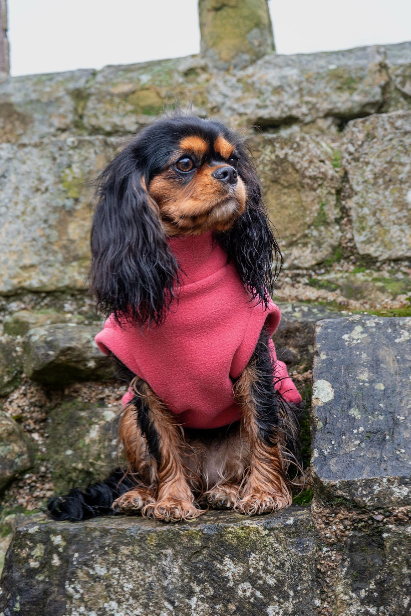 Custom Made | Polar Fleece | Tankie - Coral