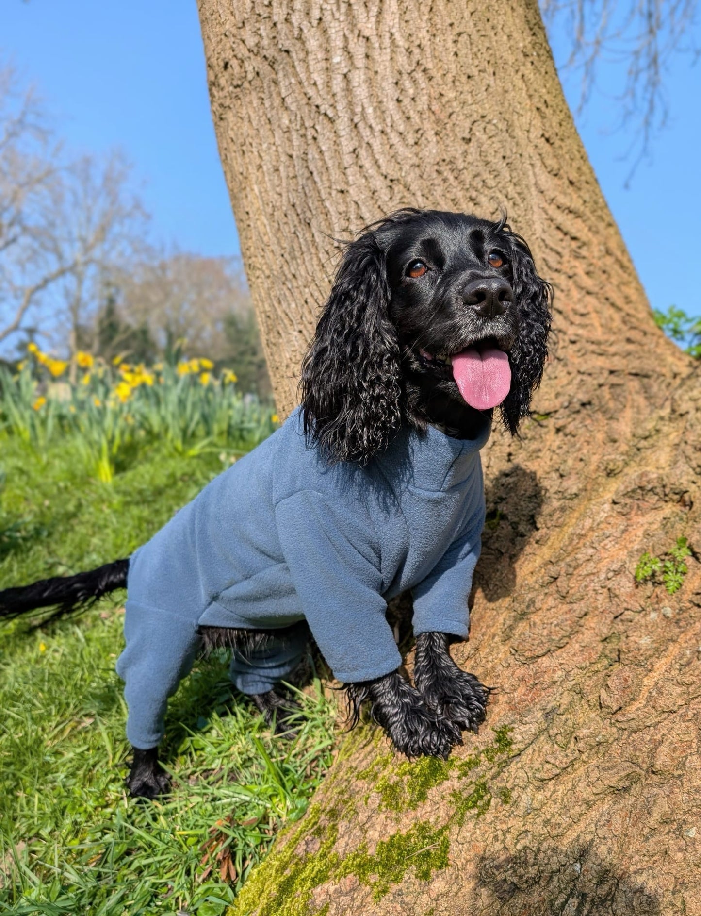 Ready To Ship | Polar Fleece | Four Legged - Denim