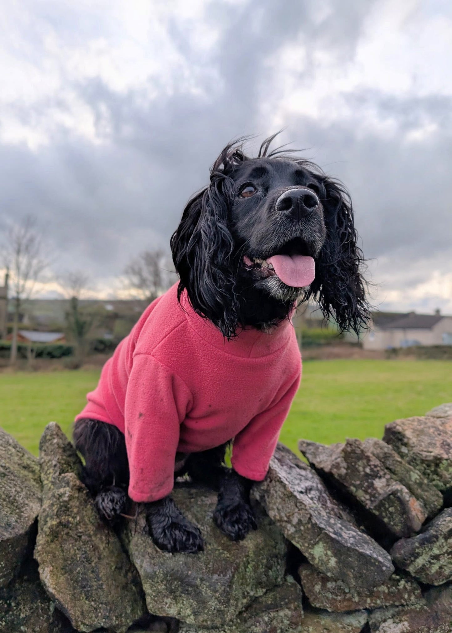 Custom Made | Polar Fleece | Two Legged - Coral