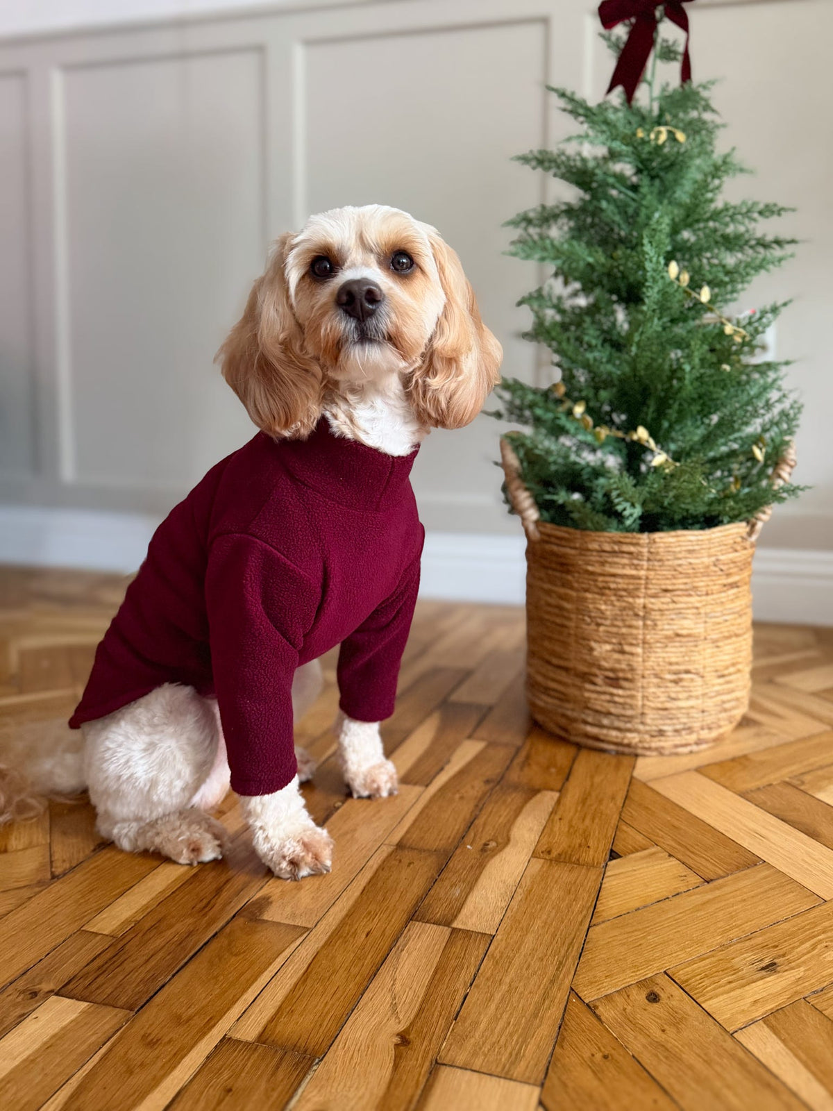Ready To Ship | Polar Fleece | Two Legged - Wine Red