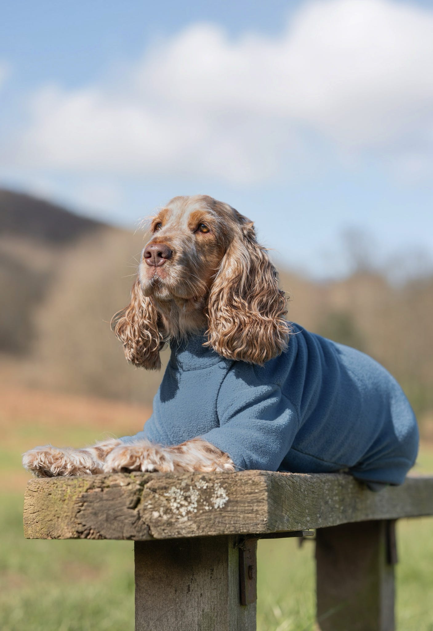 Ready To Ship | Polar Fleece | Four Legged - Denim