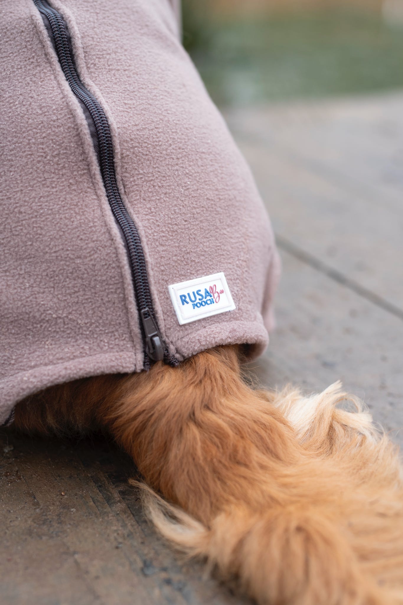 4 legged fleece dog suit with an added zip 