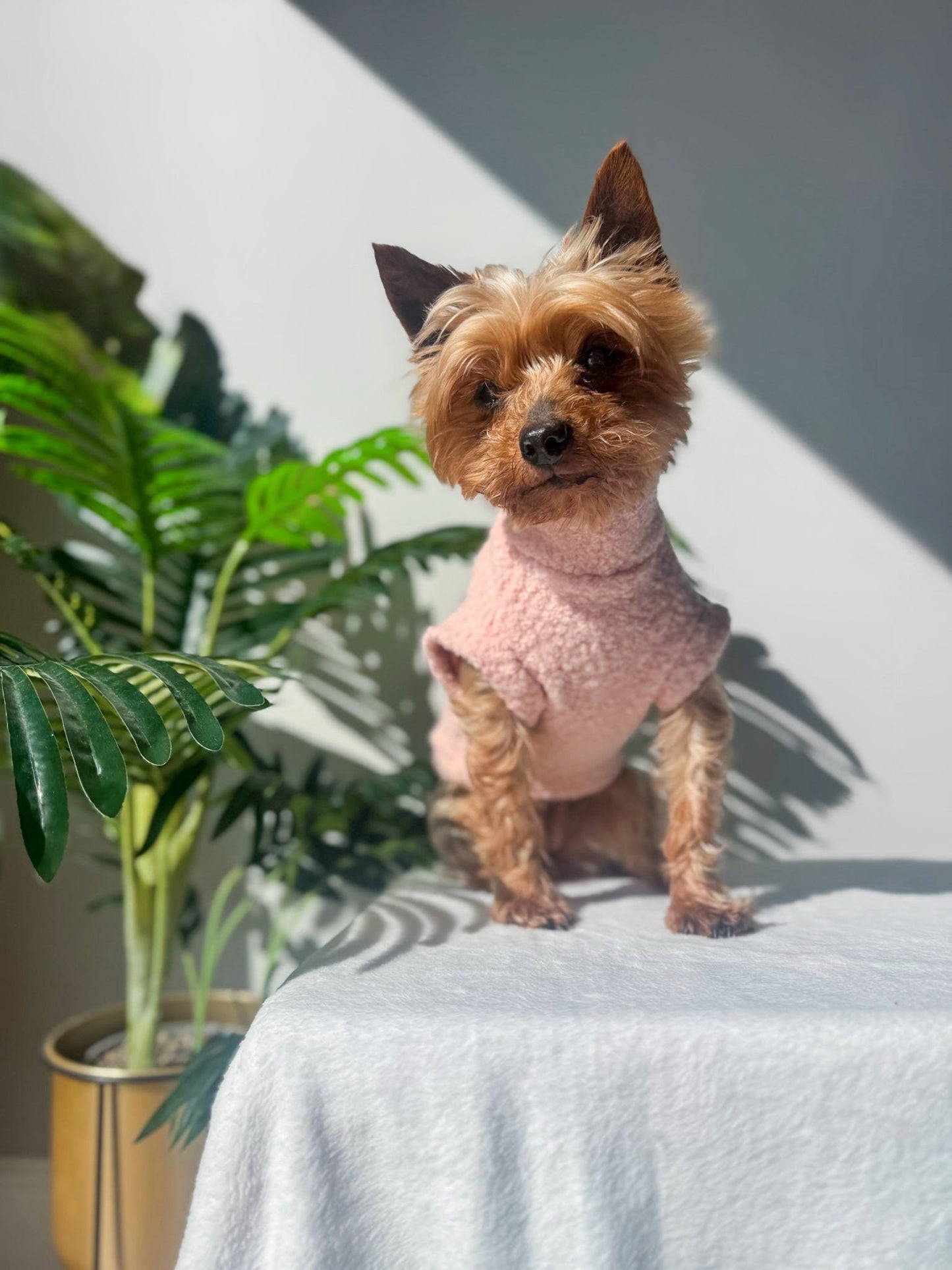 Made To Match | Teddy Borg Jumper | Tankie - Peachy Pink
