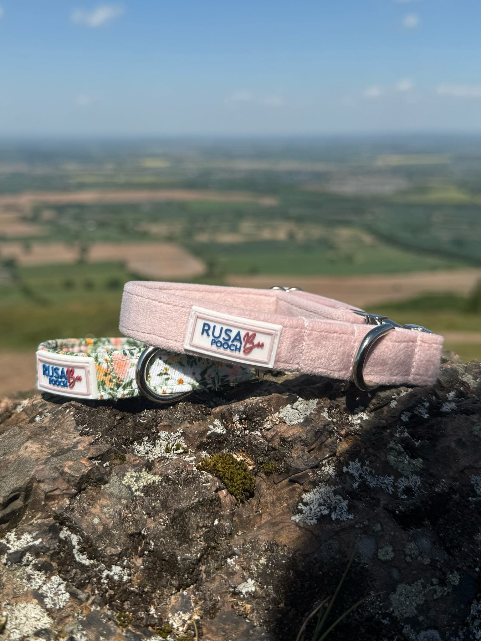 Green flowery and plain pink velvet luxury handmade collars