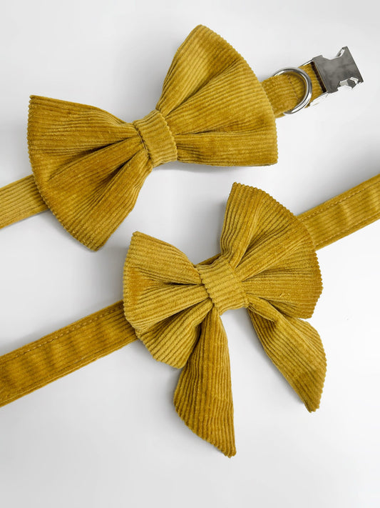 Mustard cordrouy bow tie and sailor bow