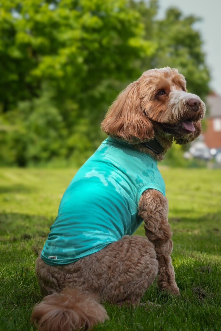 Ready To Ship | Cotton Cooling Tee - Turquoise