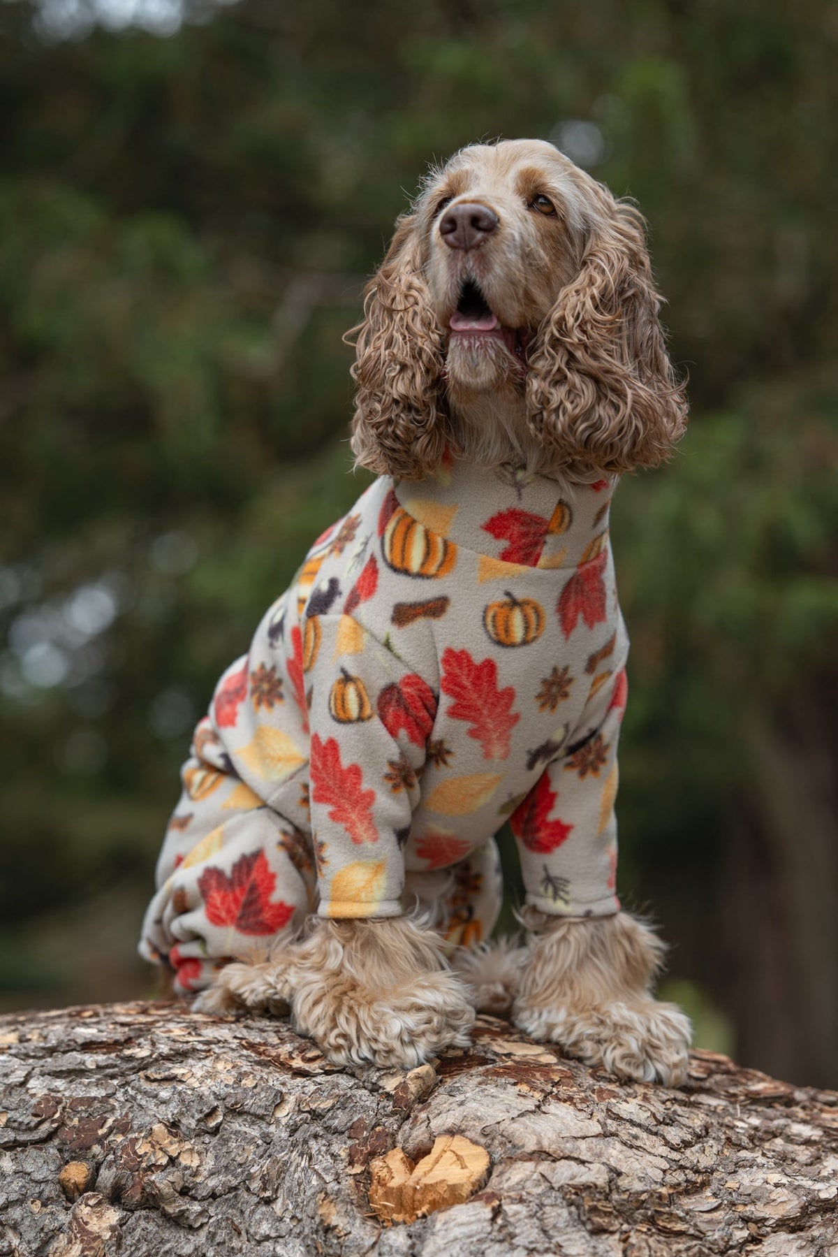 Custom Made | Polar Fleece | Four Legged - Autumn Pumpkin Print