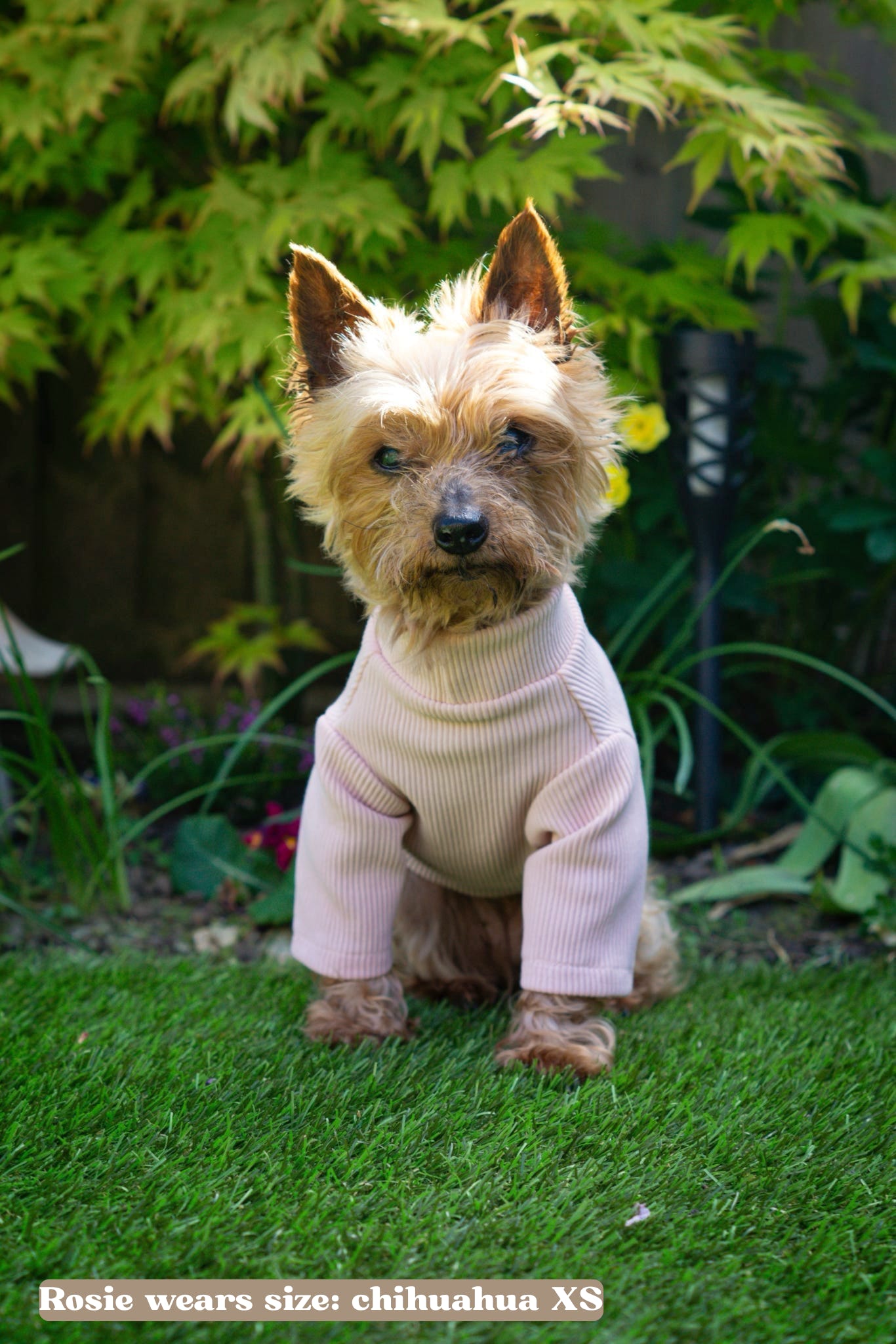Custom Made | Jersey Rib | Two Legged - Blossom