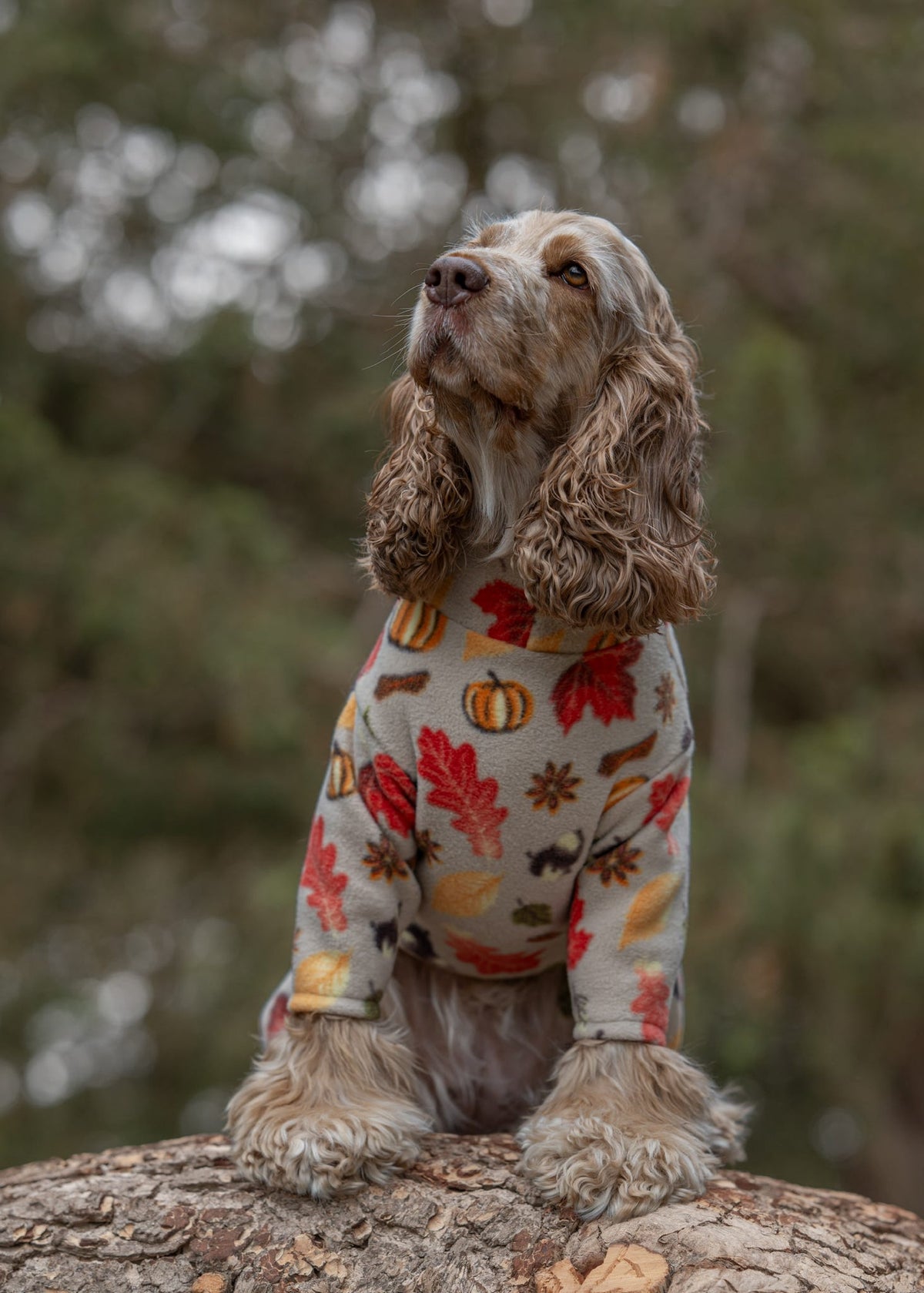 Custom Made | Polar Fleece | Four Legged - Autumn Pumpkin Print