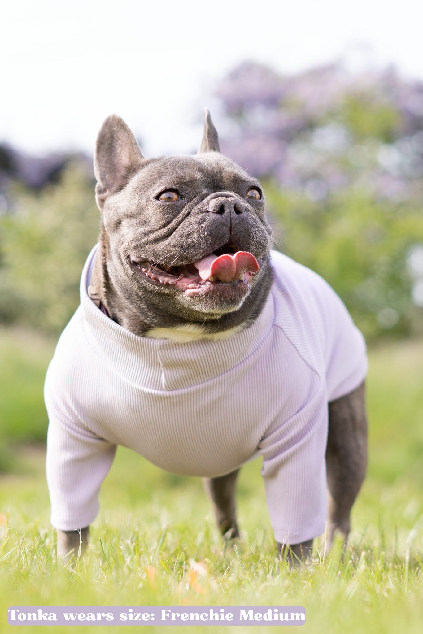 Custom Made | Jersey Rib | Two Legged - Lavender