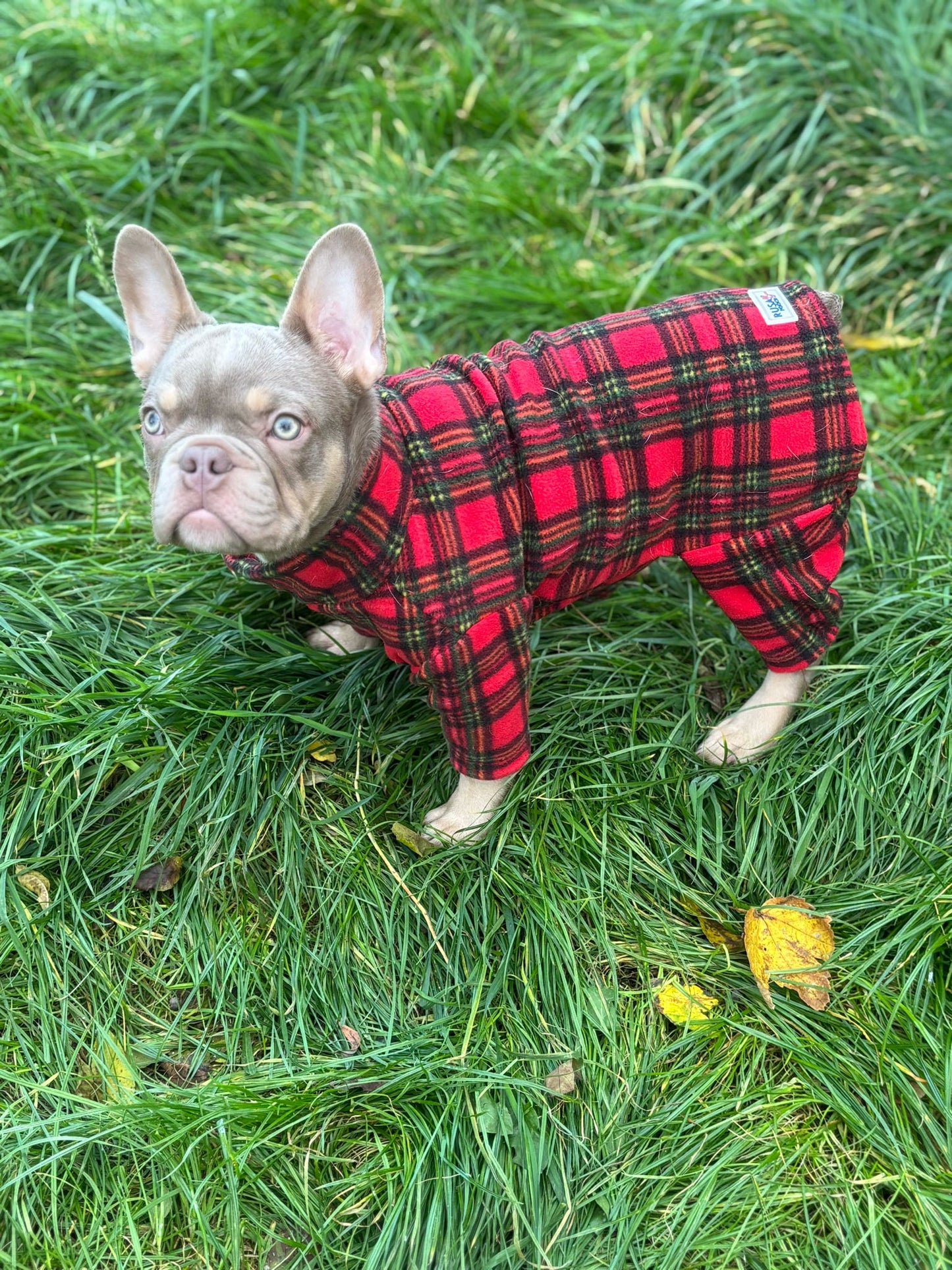 Custom Made | Polar Fleece | Four Legged - Christmas Tartan