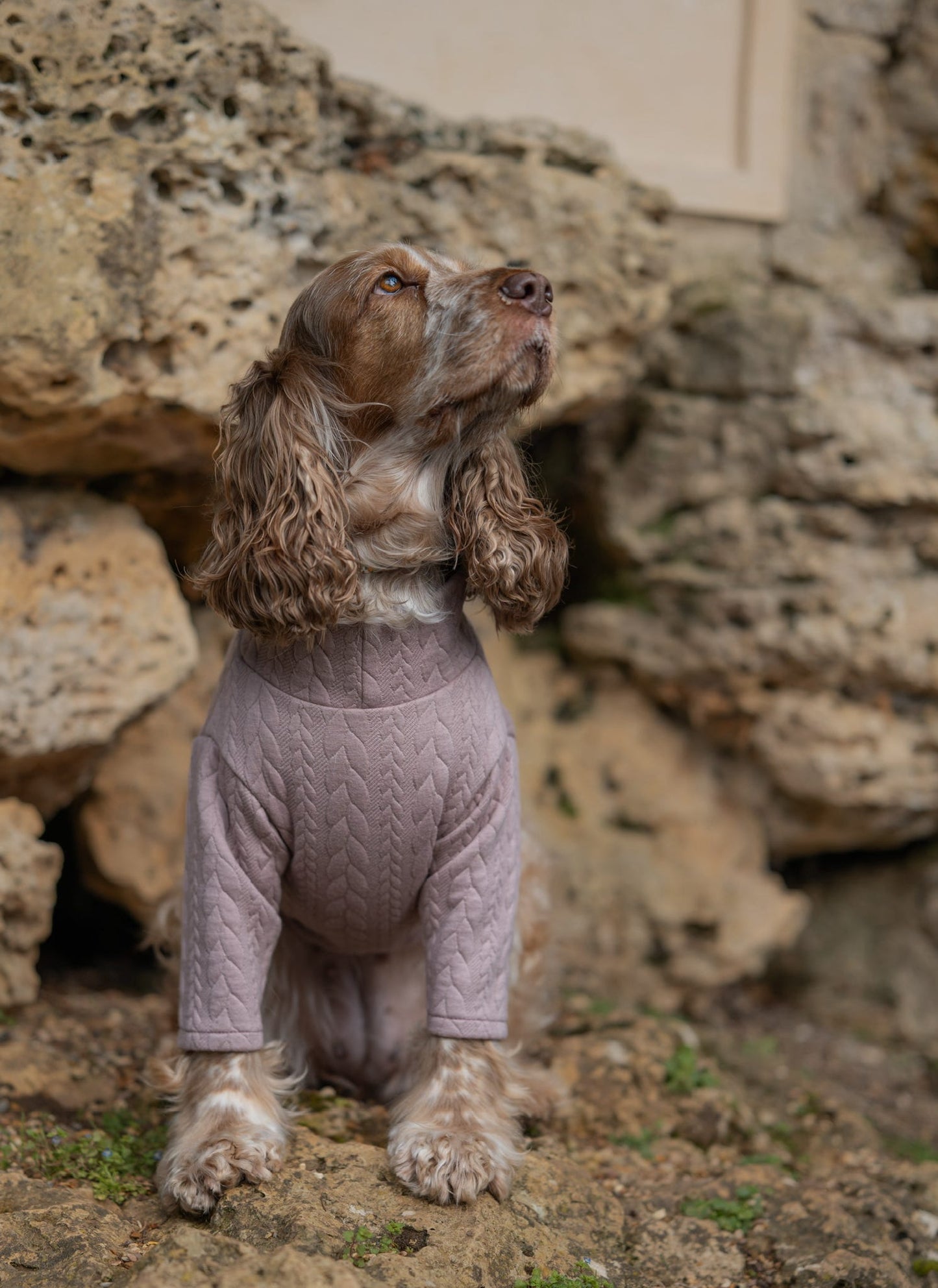 Custom Made | Cable Knit Jersey | Two Legged - Light Pink