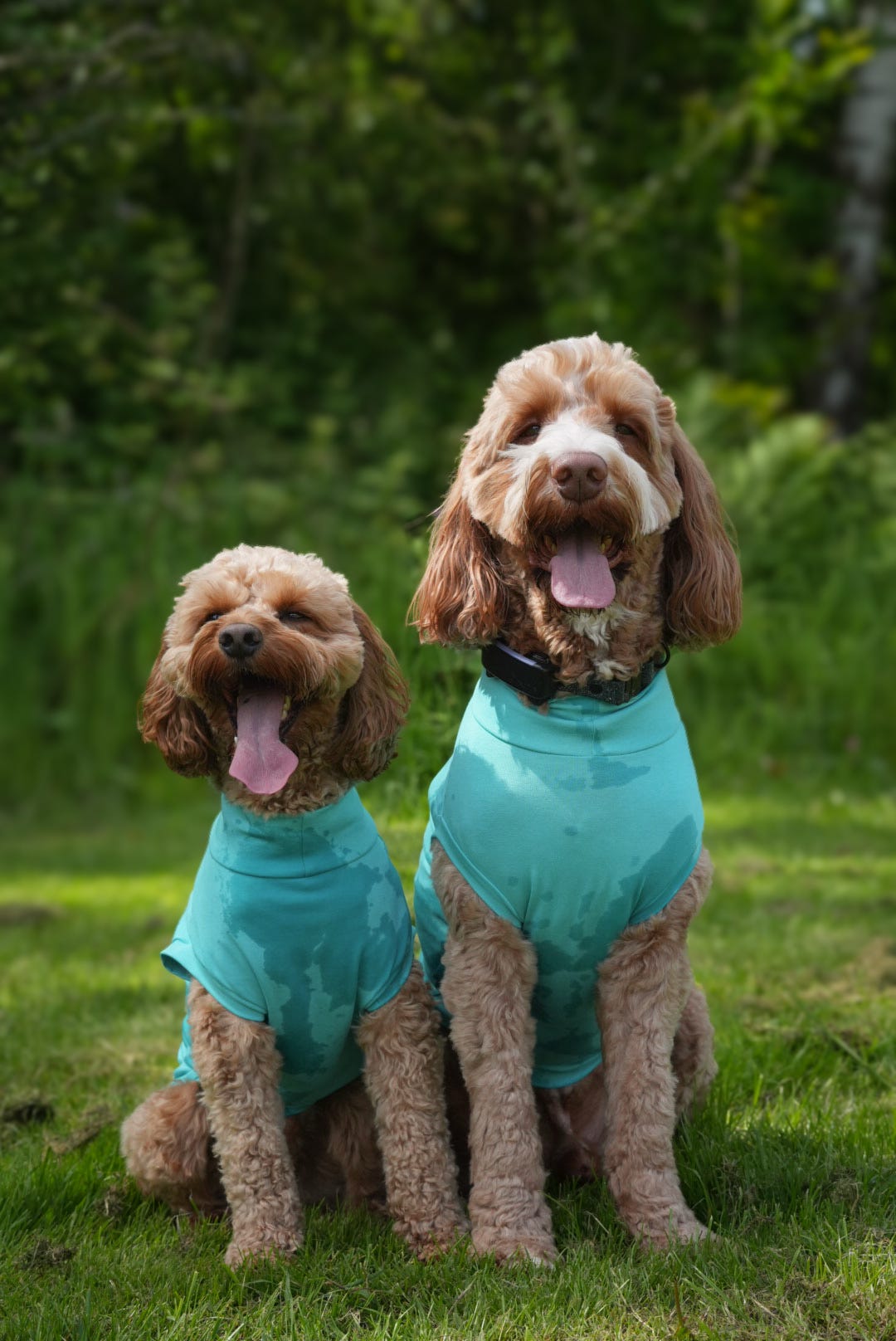 Ready To Ship | Cotton Cooling Tee - Turquoise
