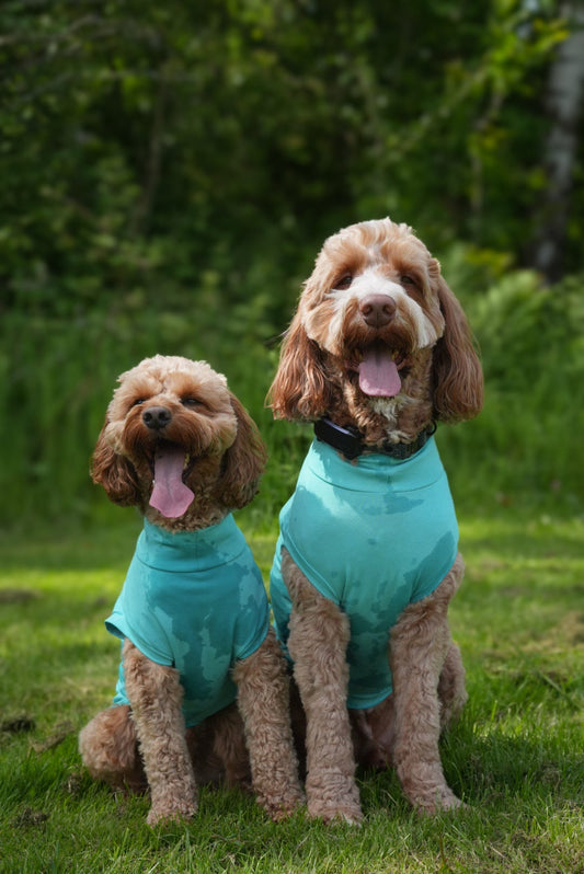 Ready To Ship | Cotton Cooling Tee - Turquoise