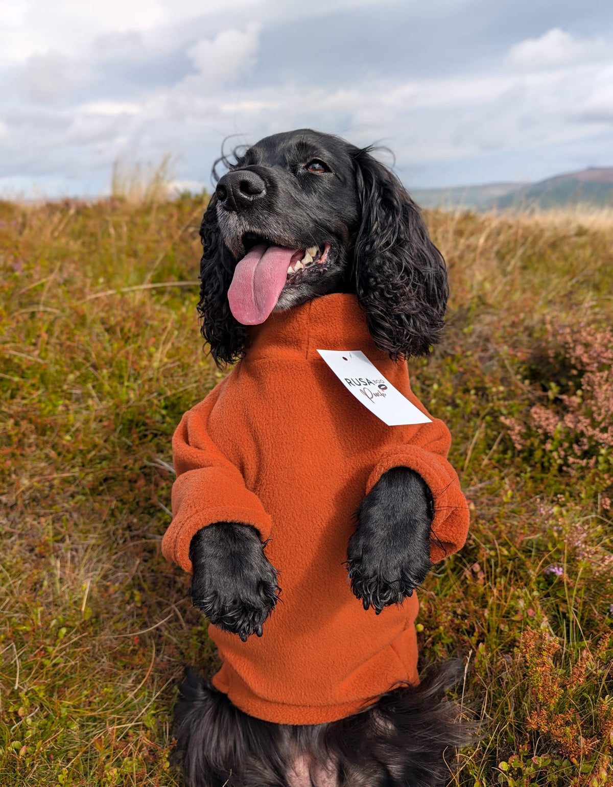 Ready To Ship | Polar Fleece | Two Legged - Rust