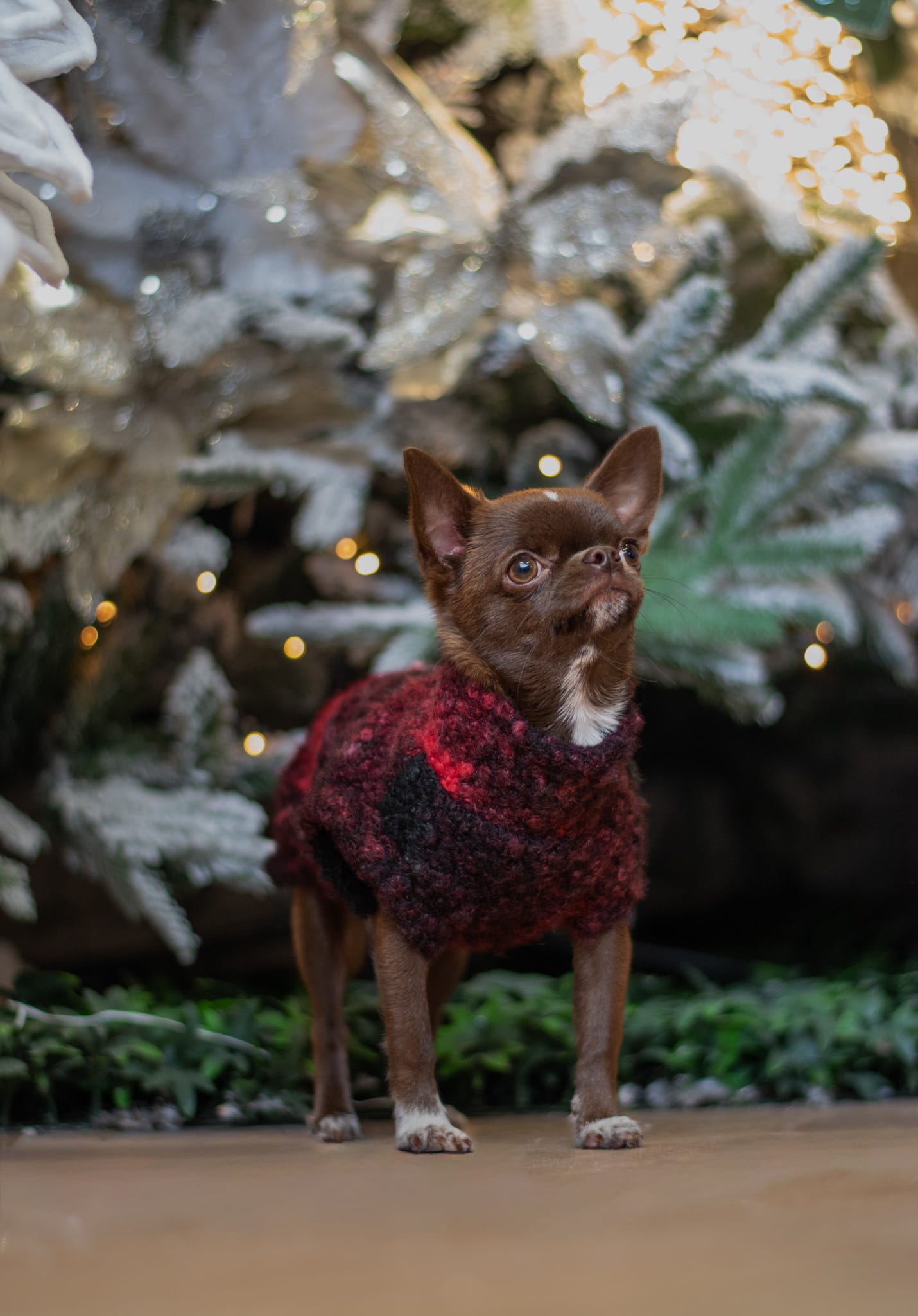 Custom Made | Teddy Borg Jumper | Tankie - Festive Borg
