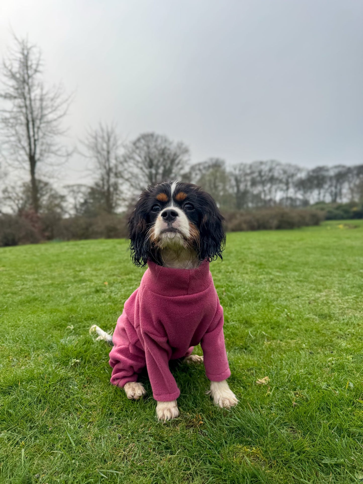 Ready To Ship | Polar Fleece | Four Legged - Mauve