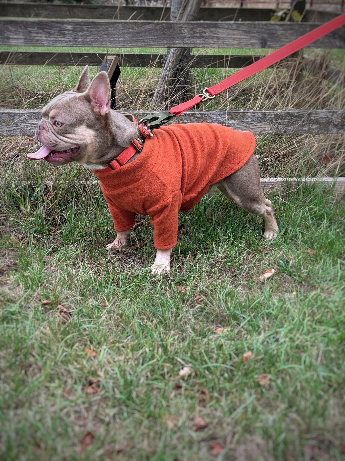 Ready To Ship | Polar Fleece | Two Legged - Rust