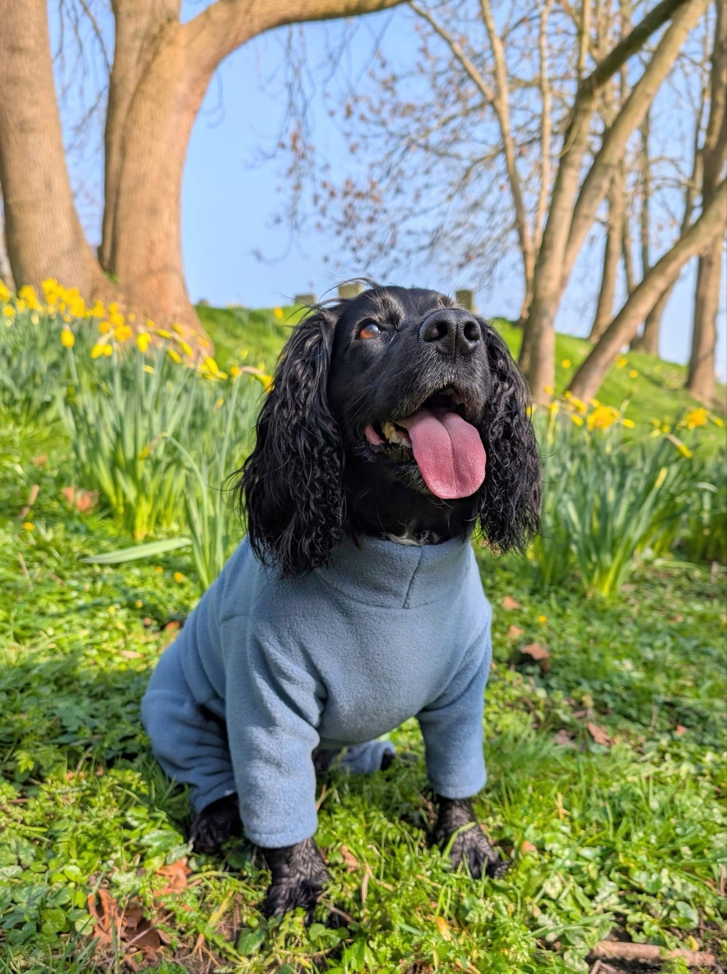 Ready To Ship | Polar Fleece | Four Legged - Denim