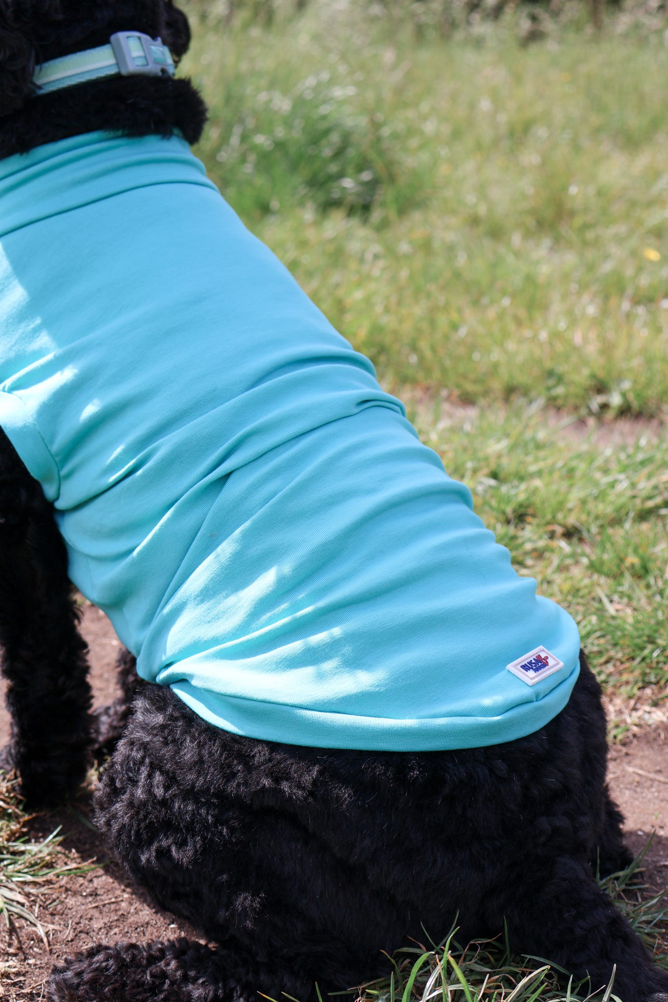 Ready To Ship | Cotton Cooling Tee - Turquoise