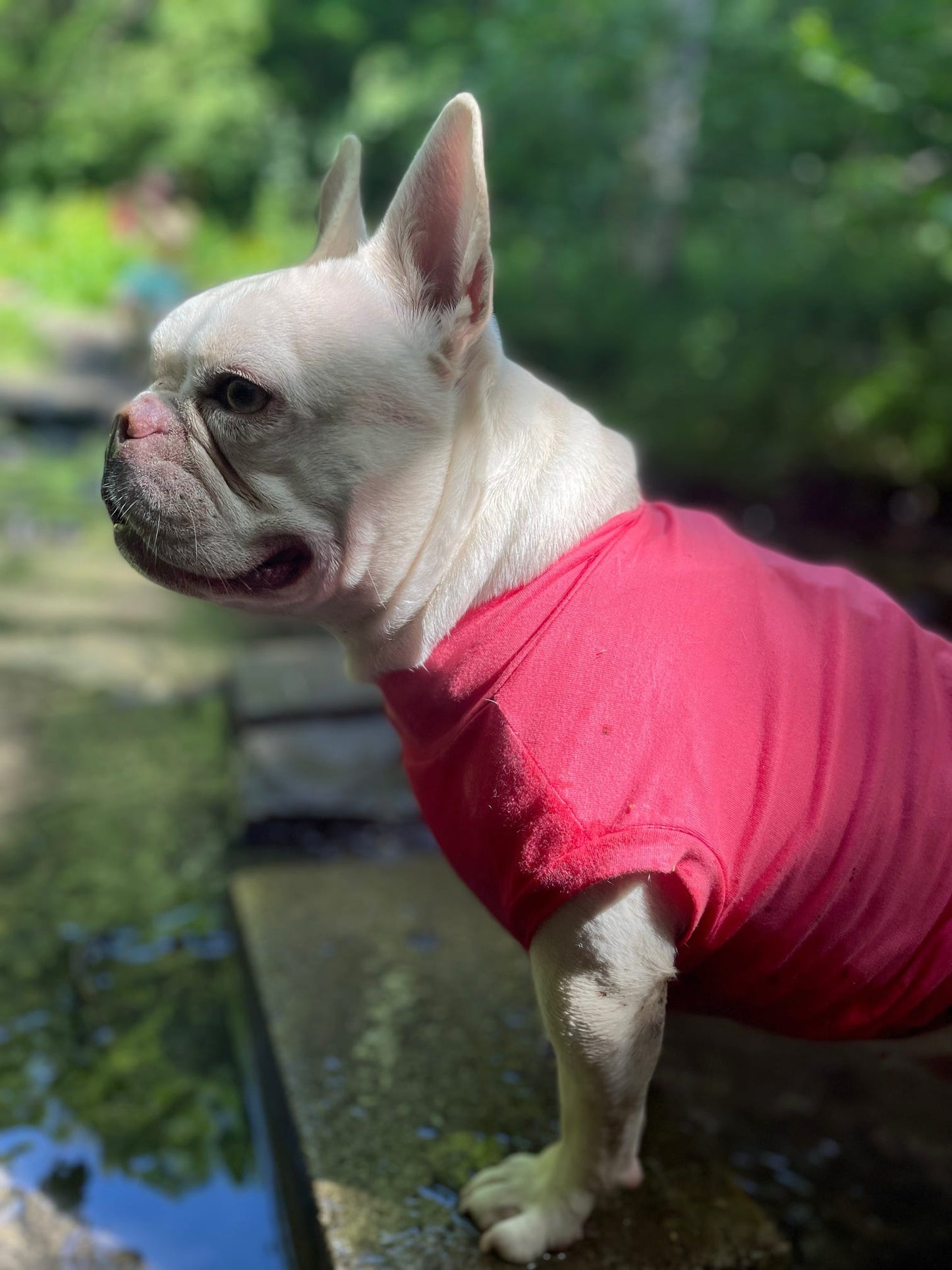 Ready To Ship | Cotton Cooling Tee - Coral