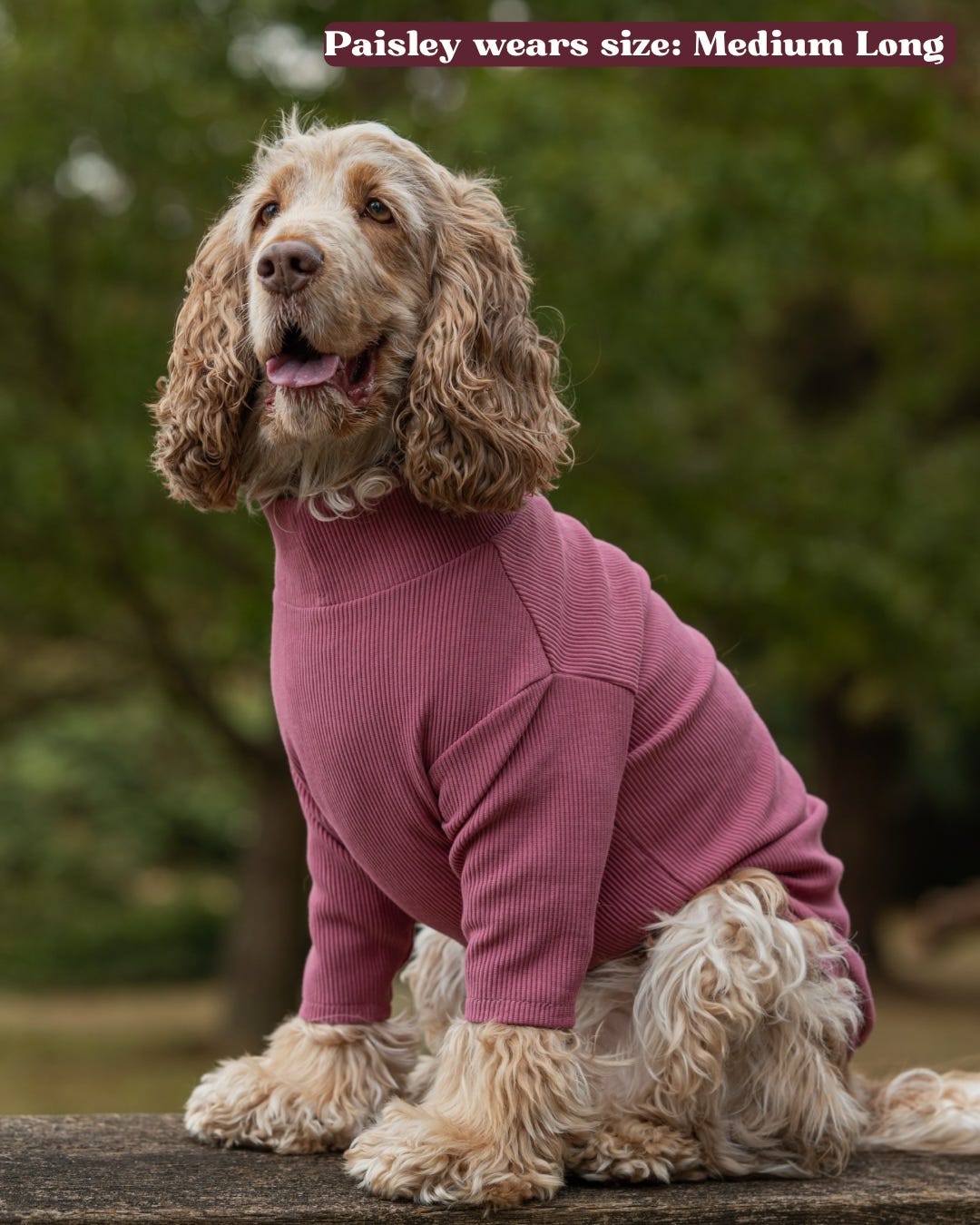 Custom Made | Jersey Rib | Two Legged - Mauve