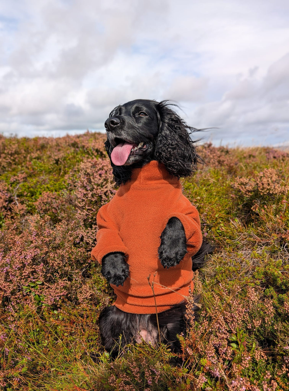 Ready To Ship | Polar Fleece | Two Legged - Rust