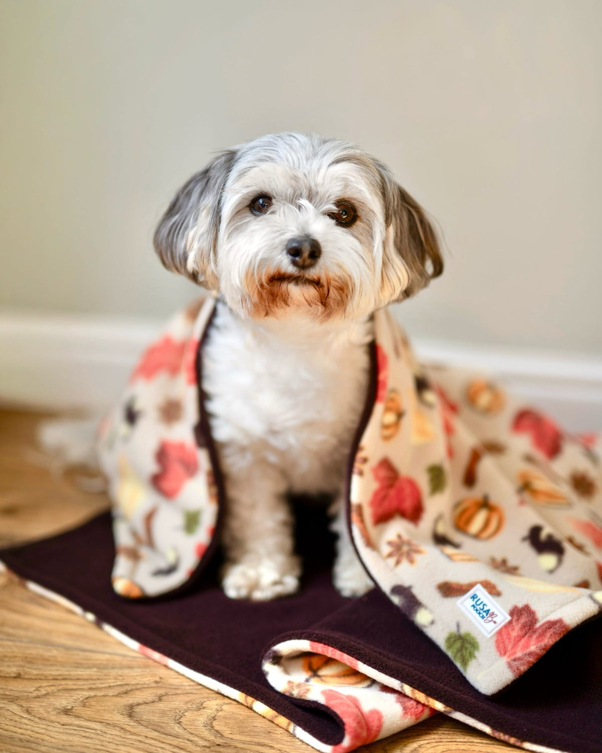 Ready To Ship | Blanket | Polar Fleece - Autumn Pumpkin Print